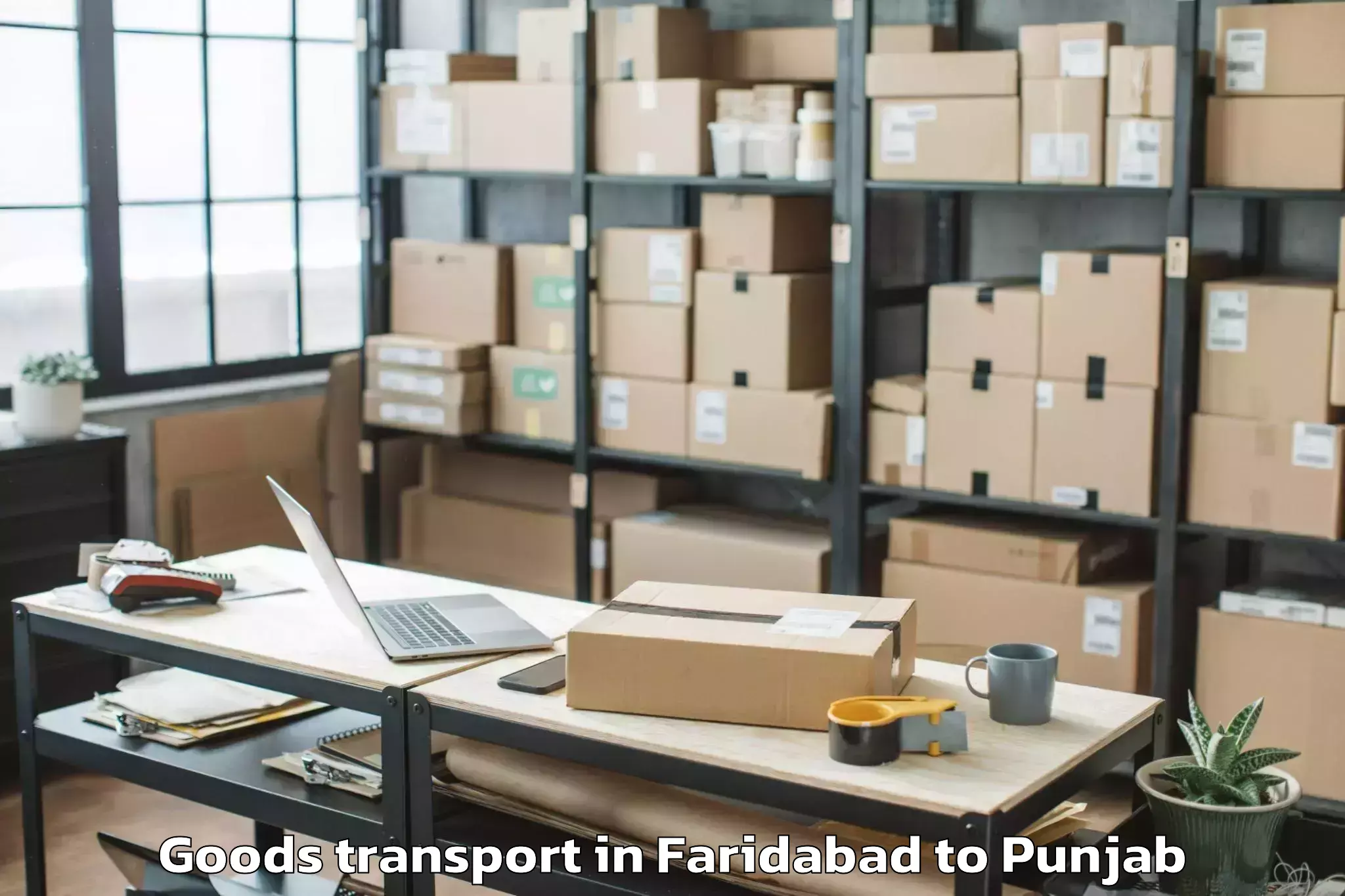 Professional Faridabad to Bhikhi Goods Transport